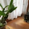 Thumbnail of new posts 167