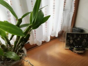 Thumbnail of post image 119